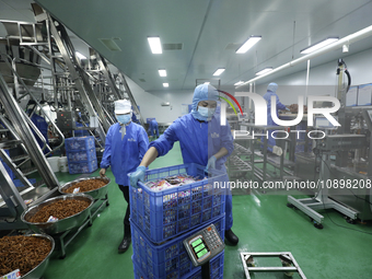 Workers are producing fish products at a workshop of a natural food company in Zixing, China, on January 4, 2024. (