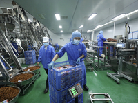 Workers are producing fish products at a workshop of a natural food company in Zixing, China, on January 4, 2024. (