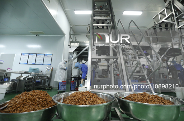 Workers are producing fish products at a workshop of a natural food company in Zixing, China, on January 4, 2024. 