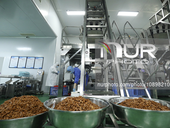 Workers are producing fish products at a workshop of a natural food company in Zixing, China, on January 4, 2024. (