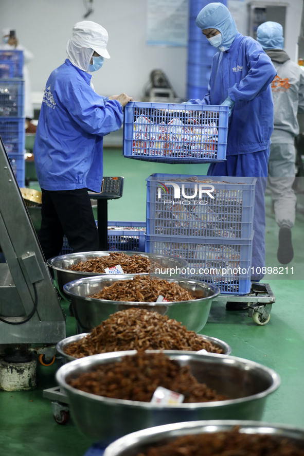 Workers are producing fish products at a workshop of a natural food company in Zixing, China, on January 4, 2024. 