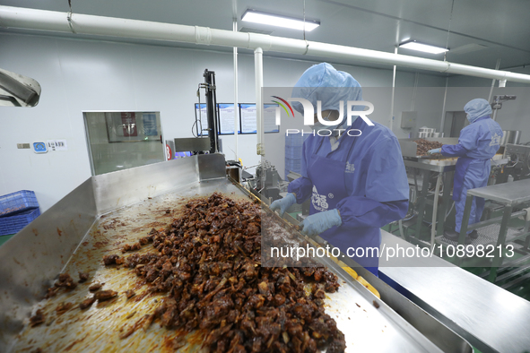 Workers are producing fish products at a workshop of a natural food company in Zixing, China, on January 4, 2024. 