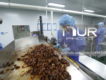 Workers are producing fish products at a workshop of a natural food company in Zixing, China, on January 4, 2024. (