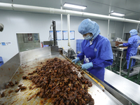 Workers are producing fish products at a workshop of a natural food company in Zixing, China, on January 4, 2024. (