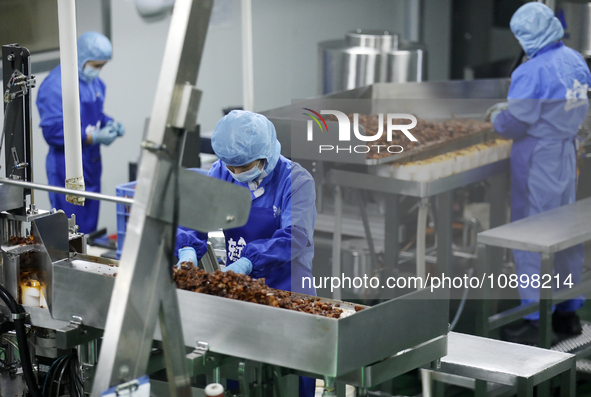 Workers are producing fish products at a workshop of a natural food company in Zixing, China, on January 4, 2024. 