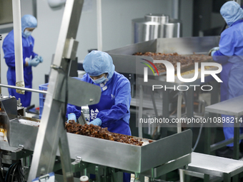 Workers are producing fish products at a workshop of a natural food company in Zixing, China, on January 4, 2024. (