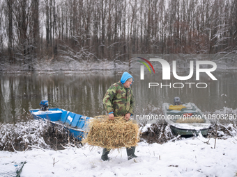 Farmers and authorities are teaming up to rescue nearly 200 cows and horses that are stuck on a Serbian river island, Krcedinska ada, on Jan...