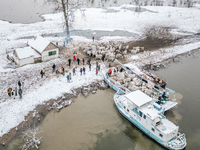 Farmers and authorities are teaming up to rescue nearly 200 cows and horses that are stuck on a Serbian river island, Krcedinska ada, on Jan...