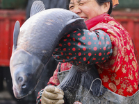 A worker is cleaning Black carp in Huai'an, China, on January 14, 2024. (