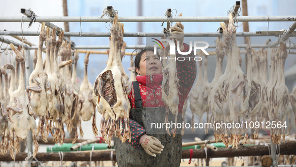 A worker is drying ducks in Huai'an, China, on January 14, 2024. 