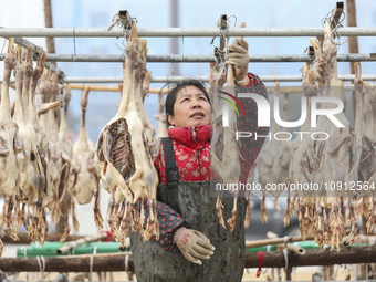 A worker is drying ducks in Huai'an, China, on January 14, 2024. (