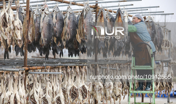 A worker is drying cured fish in Huai'an, China, on January 14, 2024. 