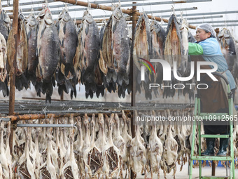 A worker is drying cured fish in Huai'an, China, on January 14, 2024. (