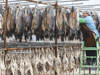 A worker is drying cured fish in Huai'an, China, on January 14, 2024. (