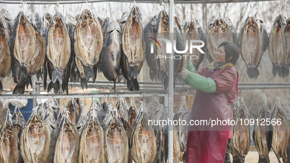 A worker is drying cured fish in Huai'an, China, on January 14, 2024. 