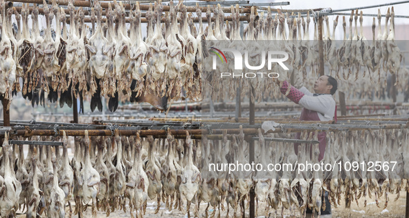 A worker is drying ducks in Huai'an, China, on January 14, 2024. 