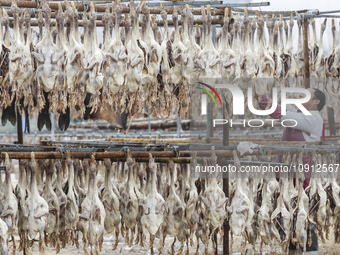 A worker is drying ducks in Huai'an, China, on January 14, 2024. (