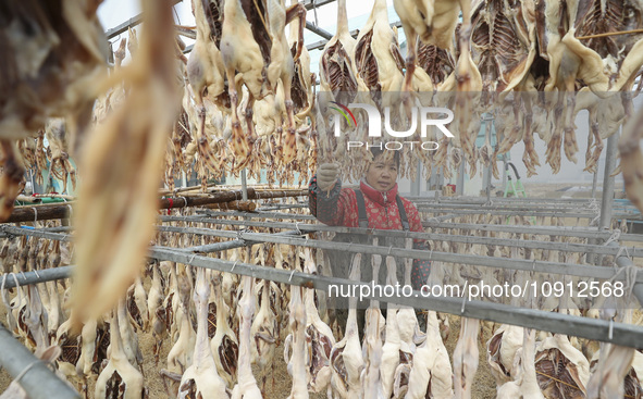 A worker is drying ducks in Huai'an, China, on January 14, 2024. 