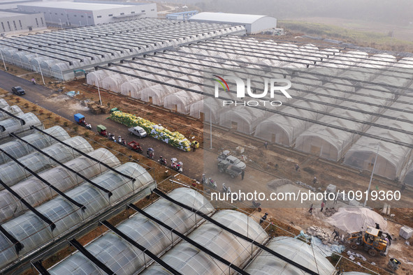 Workers are working at the construction site of a greenhouse for passion fruit cultivation in Congjiang County, Southwest China's Guizhou Pr...