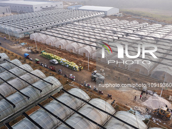 Workers are working at the construction site of a greenhouse for passion fruit cultivation in Congjiang County, Southwest China's Guizhou Pr...