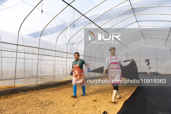 Workers are working at the construction site of a greenhouse for passion fruit cultivation in Congjiang County, Southwest China's Guizhou Pr...