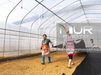 Workers are working at the construction site of a greenhouse for passion fruit cultivation in Congjiang County, Southwest China's Guizhou Pr...