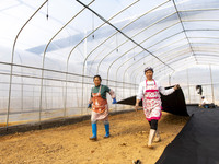 Workers are working at the construction site of a greenhouse for passion fruit cultivation in Congjiang County, Southwest China's Guizhou Pr...