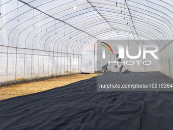 Workers are working at the construction site of a greenhouse for passion fruit cultivation in Congjiang County, Southwest China's Guizhou Pr...