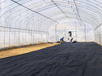 Workers are working at the construction site of a greenhouse for passion fruit cultivation in Congjiang County, Southwest China's Guizhou Pr...