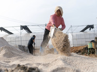 Workers are working at the construction site of a greenhouse for passion fruit cultivation in Congjiang County, Southwest China's Guizhou Pr...