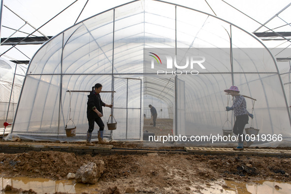 Workers are working at the construction site of a greenhouse for passion fruit cultivation in Congjiang County, Southwest China's Guizhou Pr...