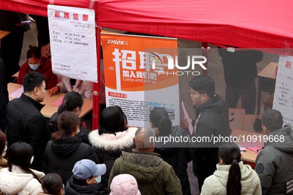 Job seekers are looking for suitable jobs at the 2024 job fair in Zaozhuang, East China's Shandong province, on January 17, 2024. 