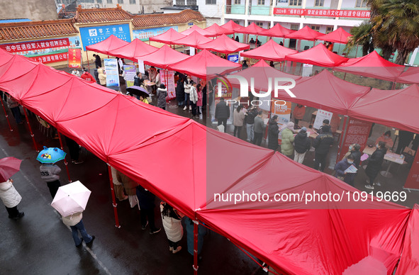 Job seekers are looking for suitable jobs at the 2024 job fair in Zaozhuang, East China's Shandong province, on January 17, 2024. 