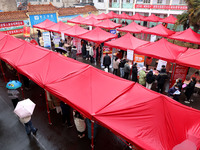 Job seekers are looking for suitable jobs at the 2024 job fair in Zaozhuang, East China's Shandong province, on January 17, 2024. (