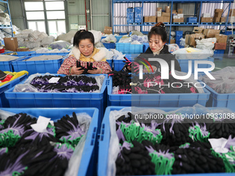 Two workers are producing protective equipment for export at a company in Lianyungang, East China's Jiangsu province, on January 22, 2024. (