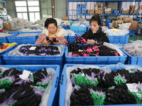 Two workers are producing protective equipment for export at a company in Lianyungang, East China's Jiangsu province, on January 22, 2024. (