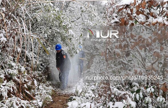 Workers are inspecting power supply lines in the cold mountainous area of Dongling village in Liuzhou, China, on January 23, 2024. 