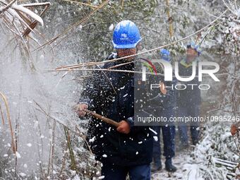 Workers are inspecting power supply lines in the cold mountainous area of Dongling village in Liuzhou, China, on January 23, 2024. (