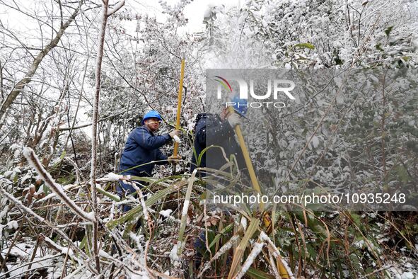 Workers are inspecting power supply lines in the cold mountainous area of Dongling village in Liuzhou, China, on January 23, 2024. 