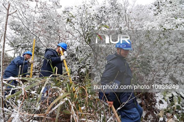 Workers are inspecting power supply lines in the cold mountainous area of Dongling village in Liuzhou, China, on January 23, 2024. 