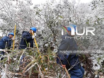 Workers are inspecting power supply lines in the cold mountainous area of Dongling village in Liuzhou, China, on January 23, 2024. (