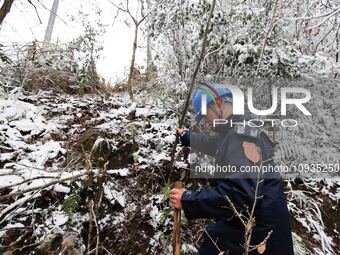 Workers are inspecting power supply lines in the cold mountainous area of Dongling village in Liuzhou, China, on January 23, 2024. (