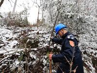 Workers are inspecting power supply lines in the cold mountainous area of Dongling village in Liuzhou, China, on January 23, 2024. (