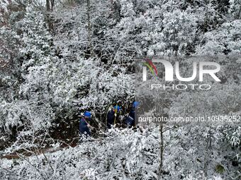 Workers are inspecting power supply lines in the cold mountainous area of Dongling village in Liuzhou, China, on January 23, 2024. (