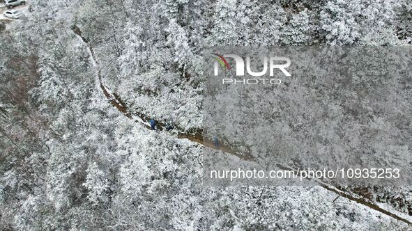 Workers are inspecting power supply lines in the cold mountainous area of Dongling village in Liuzhou, China, on January 23, 2024. 