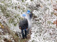 Workers are inspecting power supply lines in the cold mountainous area of Dongling village in Liuzhou, China, on January 23, 2024. (