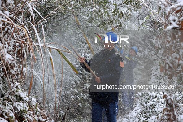 Workers are inspecting power supply lines in the cold mountainous area of Dongling village in Liuzhou, China, on January 23, 2024. 