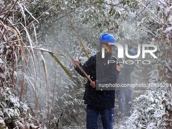 Workers are inspecting power supply lines in the cold mountainous area of Dongling village in Liuzhou, China, on January 23, 2024. (