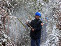 Workers are inspecting power supply lines in the cold mountainous area of Dongling village in Liuzhou, China, on January 23, 2024. (