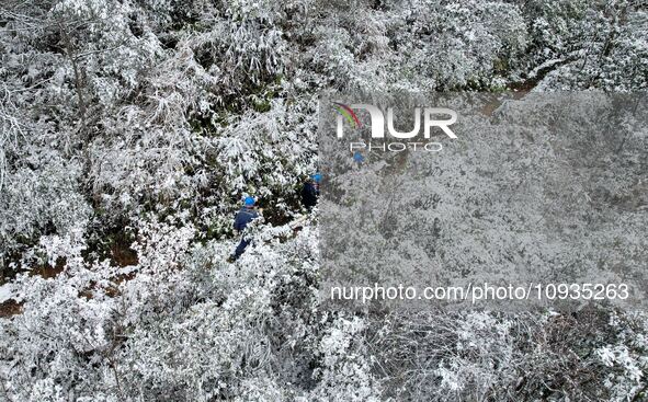 Workers are inspecting power supply lines in the cold mountainous area of Dongling village in Liuzhou, China, on January 23, 2024. 